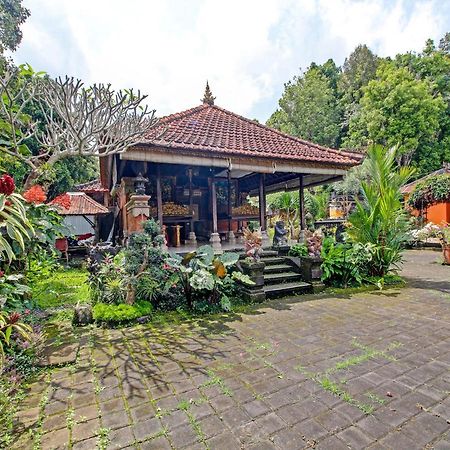 Oyo Homes 91091 Desa Wisata Umejero Munduk Exteriér fotografie