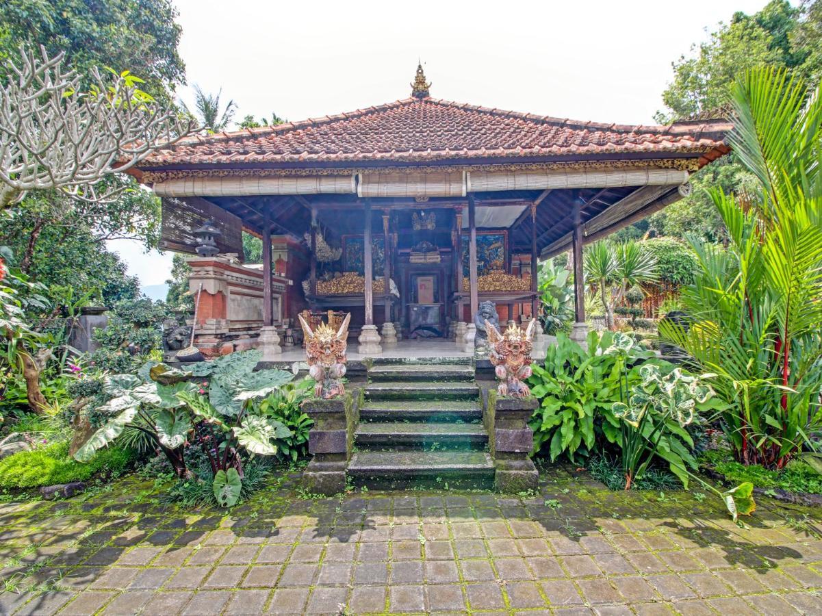 Oyo Homes 91091 Desa Wisata Umejero Munduk Exteriér fotografie