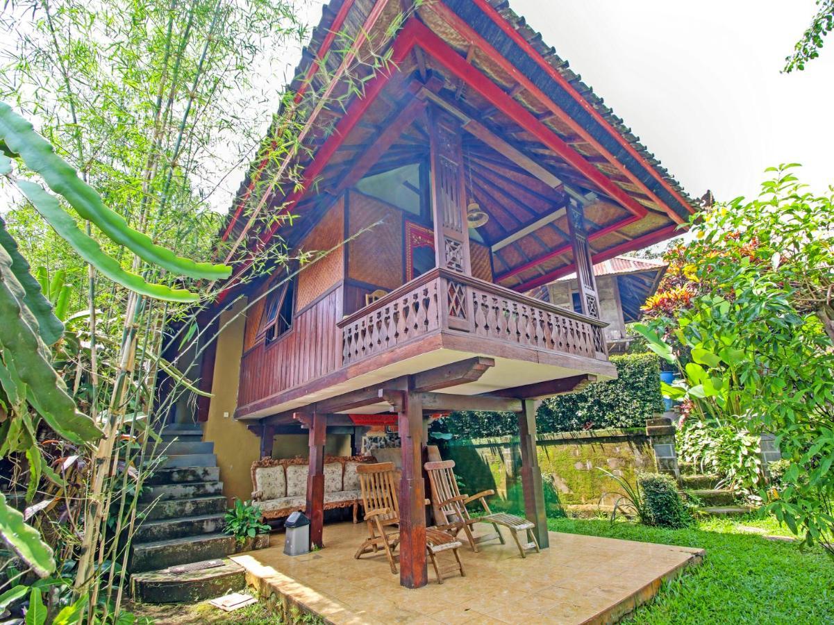 Oyo Homes 91091 Desa Wisata Umejero Munduk Exteriér fotografie