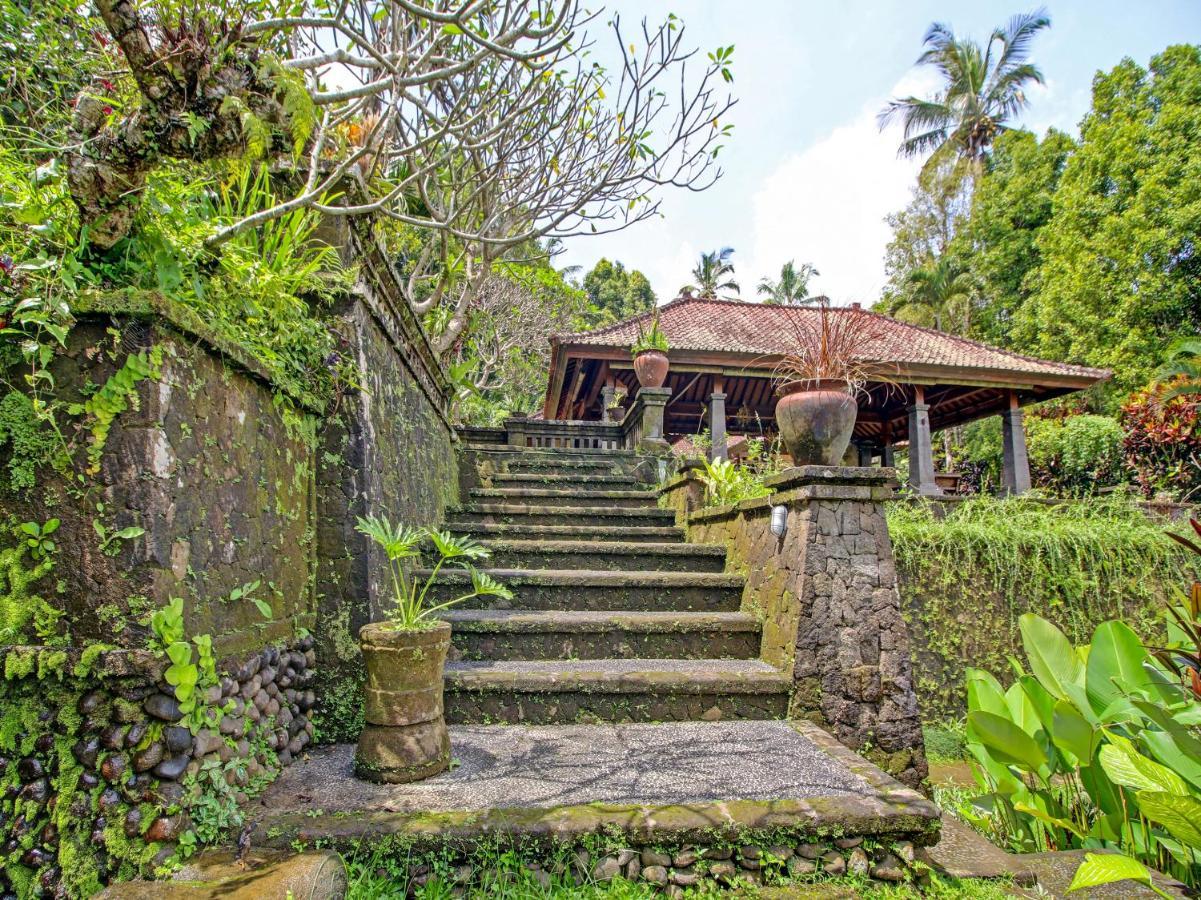 Oyo Homes 91091 Desa Wisata Umejero Munduk Exteriér fotografie