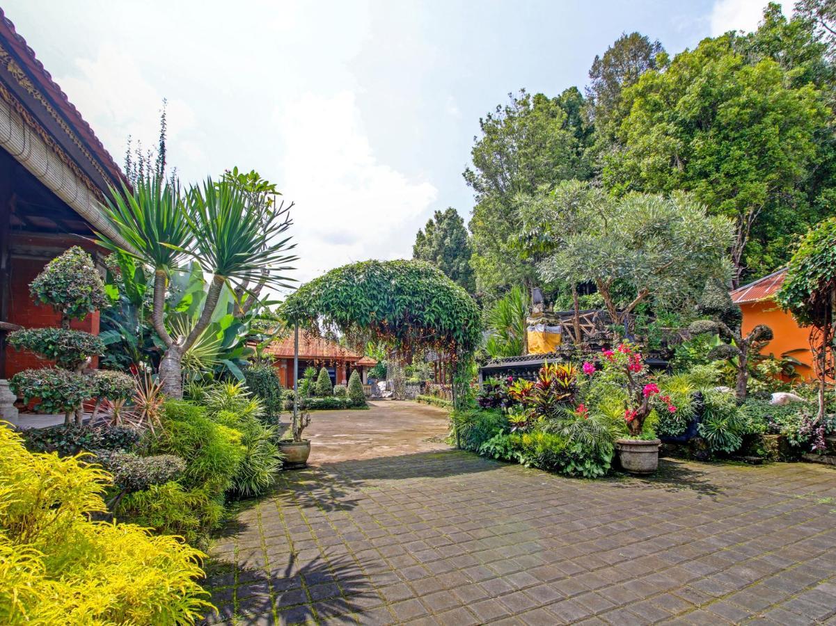Oyo Homes 91091 Desa Wisata Umejero Munduk Exteriér fotografie