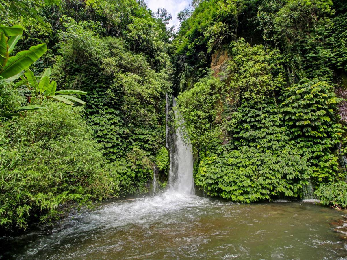 Oyo Homes 91091 Desa Wisata Umejero Munduk Exteriér fotografie