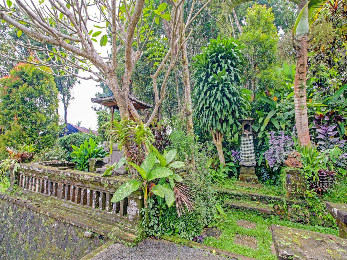 Oyo Homes 91091 Desa Wisata Umejero Munduk Exteriér fotografie