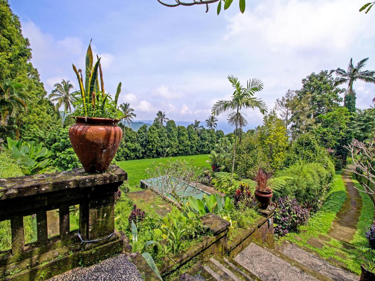 Oyo Homes 91091 Desa Wisata Umejero Munduk Exteriér fotografie